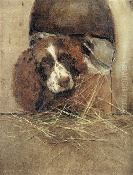 Home, Sweet Home - Spaniel At Rest - view 1