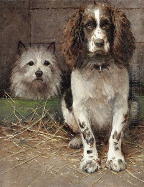 Spaniel And Cairn - view 1