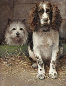 Spaniel And Cairn