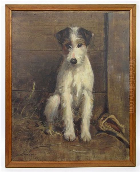 Untitled (portrait Of Jack Russell Terrier) - view 1