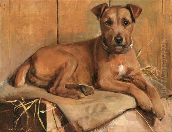 "bruiser", A Terrier - view 1
