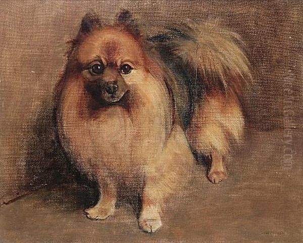 "chips", A Pomeranian - view 1