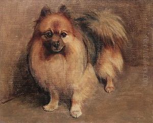 "chips", A Pomeranian by Samuel Fulton