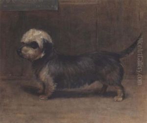 "netherby Ii", K.c.s.b.27740, A Dandie Dinmont