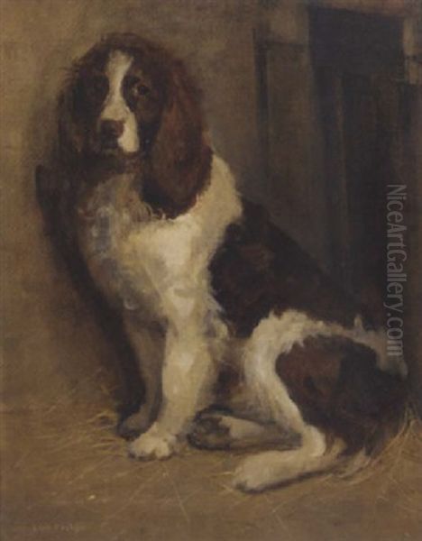 A Cocker Spaniel - view 1