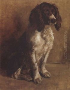 A Cocker Spaniel by Samuel Fulton