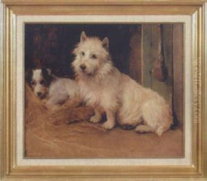 Tva Terrier Tva Terrier