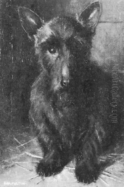 Scottish Terrier - view 1
