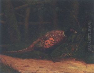 Fasankok Pa En Skovsti by Herman Friedrich Funch