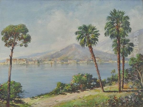 Landschaft Am Lago Maggiore - view 1
