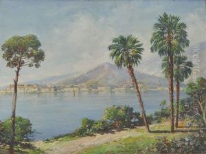 Landschaft Am Lago Maggiore by Vincenzo Funiciello
