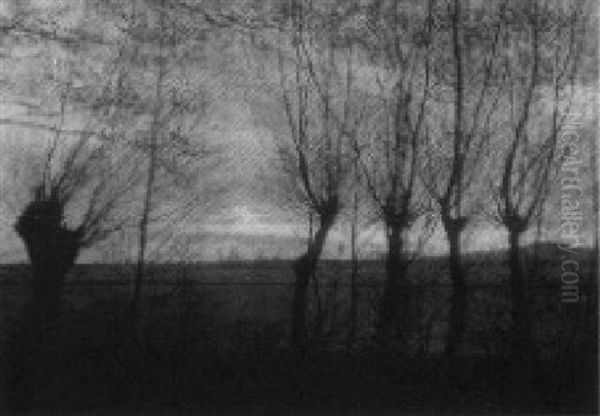 Landscape - view 1