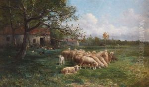 Moutons Au Pre