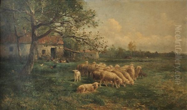 Moutons Pres De La Ferme - view 1