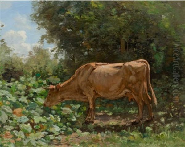 Weidende Kuh In Einer Landschaft - view 1