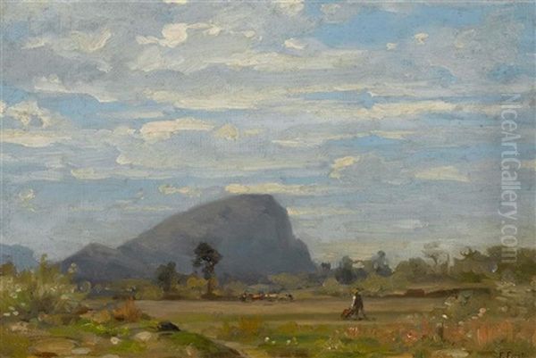 Landschaft Im Wallis Mit Pfynwald - view 1