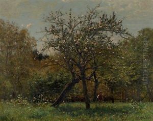 Personnage Au Pied De Cerisiers En Fleurs