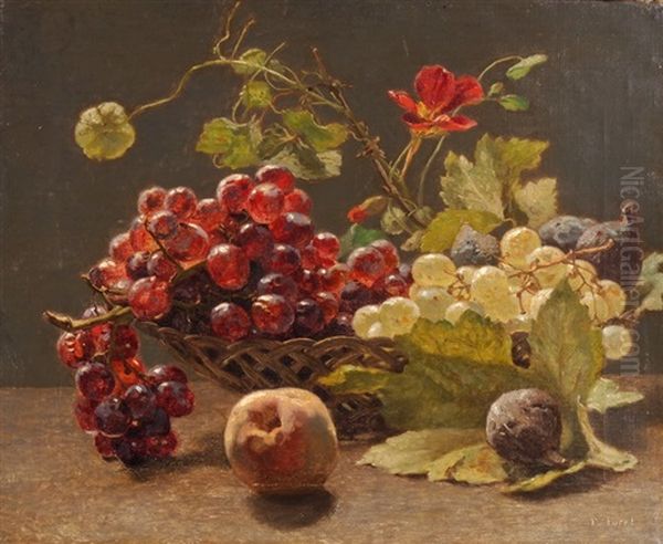 Weisse Und Rote Trauben In Fruchtekorb - view 1