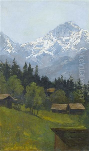 Sommerliche Alp Mit Blick Auf Die Jungfrau - view 1