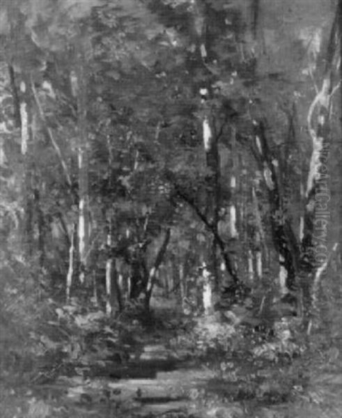 Walddickicht - view 1