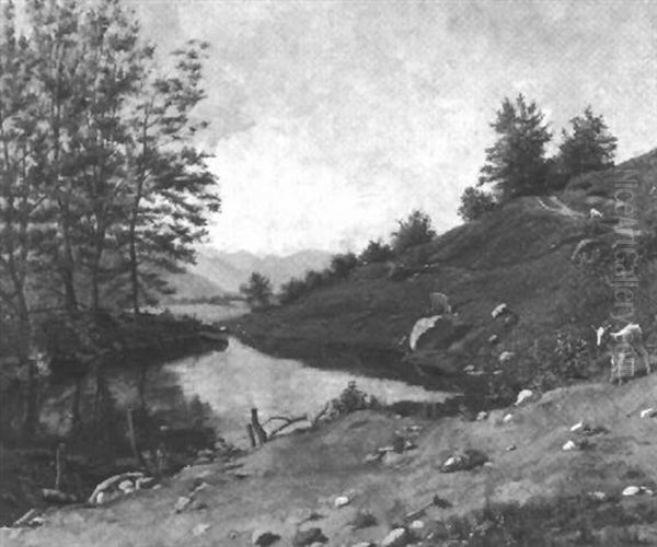 Sommerliche Hugellandschaft Mit Lammern Am Teich - view 1