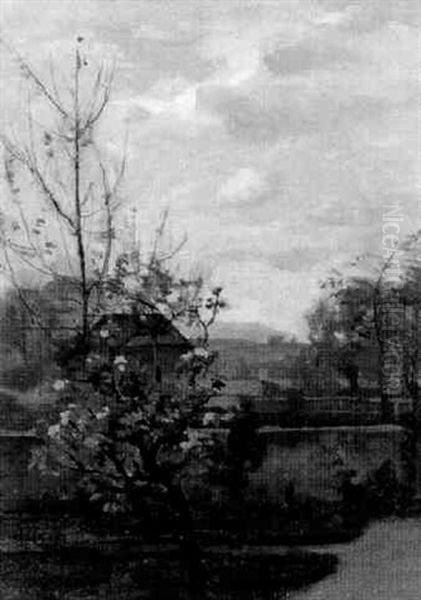 Bluhendes Obstbaumchen - view 1