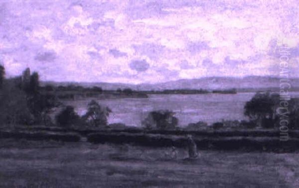 Genferseelandschaft - view 1