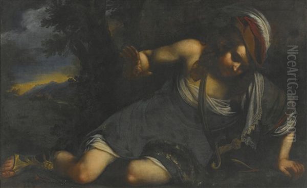 Narcissus - view 1