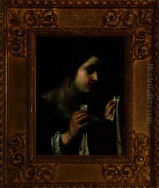 Veronica's Veil - view 1