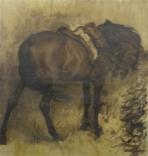 Sketch Of Field-marshall Roberts' Horse Saracen - view 1