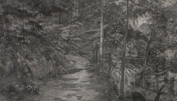 Stream And Woods (chester Co.) - view 1