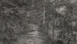 Stream And Woods (chester Co.) Stream And Woods (chester Co.)