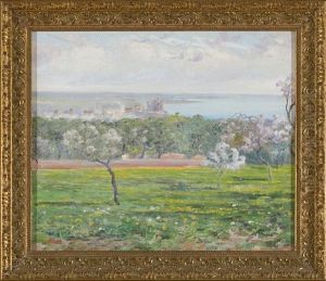 Vista De Palma De Mallorca Con Almendros En Flor