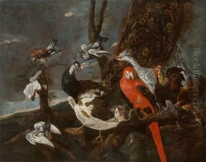 Vogelkonzert ("brid Concert") Vogelkonzert ("brid Concert")