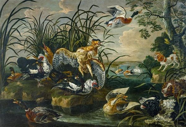 Jagdhunde Bedrangen Enten Und Rohrdommeln An Einem Weiher - view 1
