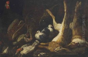Dead Hares, Pheasants, Ducks And Birds, With A Rooster And Pigeons by Jan Fyt