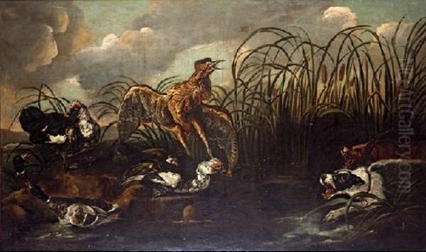 Anades Y Gallinas De Agua - view 1