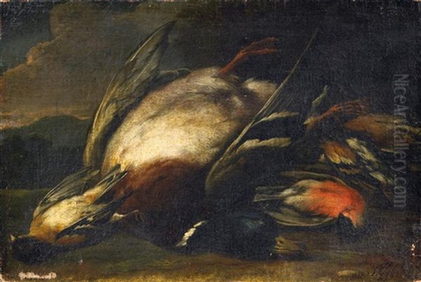 Jagdstilleben Mit Erlegter Ente Und Singvogeln - view 1