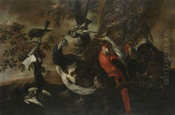 Das Vogelkonzert - view 1