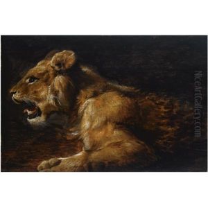 A Study Of A Reclining Lioness by Jan Fyt