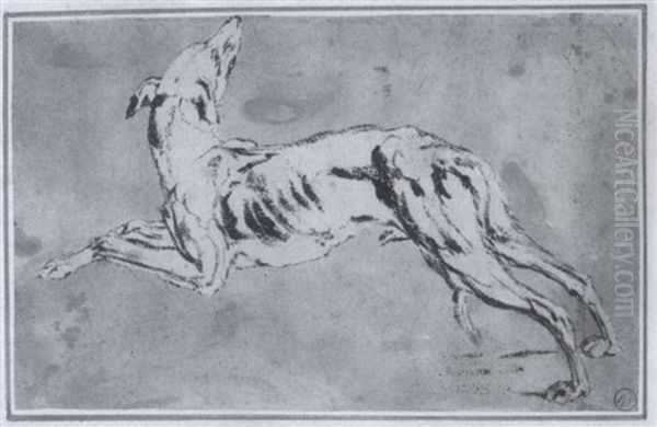 Windhund, Nach Links Springend - view 1