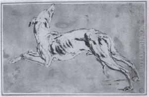 Windhund, Nach Links Springend