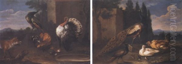 Paon, Poules Et Perdrix Dans Un Poulailler - view 1