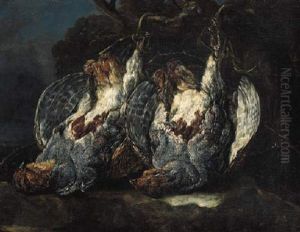 Dead Partridges Suspended From Ropes On A Tree In The Forest