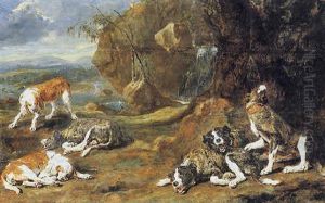 Cani In Un Paesaggio