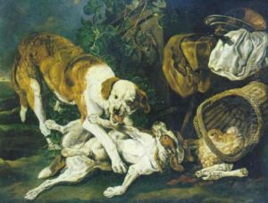 Pelea De Perros