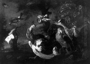 A Peacok, A Parrot, A Rooster, Heroins And Other Birds In A Landscape
