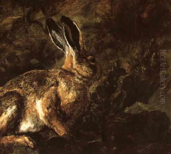 Ein Hase - view 1