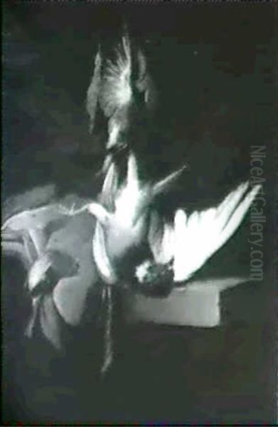 Nature Morte Med Fugle - view 1