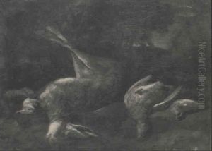 Trophees De Chasse